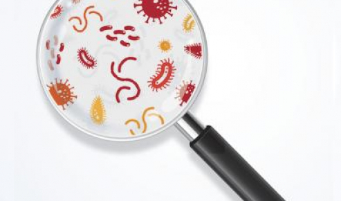 ¿Qué es una cepa microbiótica?